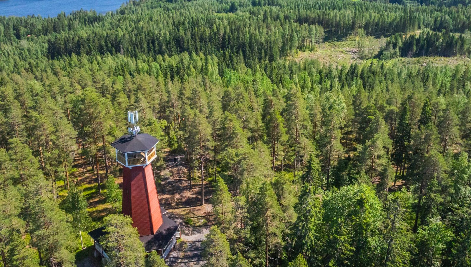 Ilmakuva metsästä ja järvestä Haralanharjun näkötornilta