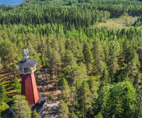 Ilmakuva metsästä ja järvestä Haralanharjun näkötornilta
